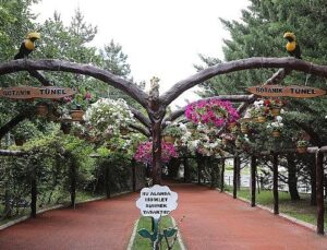 Keçiören’de Çağdaş Serada Üretilen Çiçekler İlçeyi Süslüyor