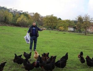 Kırsalda geçim kapısı güçleniyor, istihdam artıyor