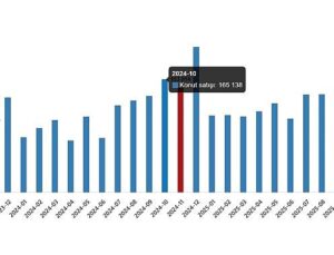 Konut Satış İstatistikleri, Kasım 2025