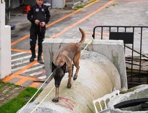 Maltepe’nin Zeyna’sı artık grubun bir modülü