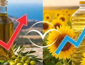 Marketlerde yılın en büyük yağ indirimi başladı: Zeytinyağında 350 TL’ye varan düşüş! İşte zincir marketlerin güncel fiyat karşılaştırması