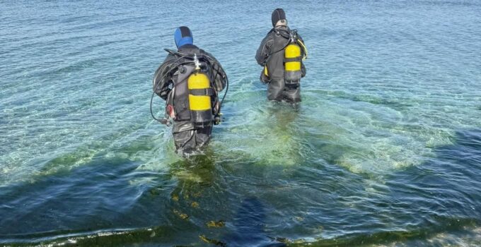 Marmara Denizi’nin Ekolojik Yapısı Mercek Altında