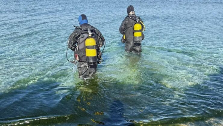 Marmara Denizi’nin Ekolojik Yapısı Mercek Altında