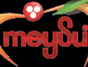 Meysu Halka Arz Oluyor