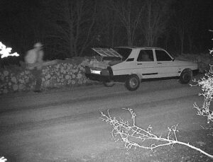 OGM’den kaçak kesitlere karşı 7/24 müdafaa