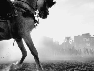 Oppo 2025 Fotoğrafçılık Ödülleri Sonuçlandı