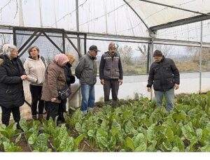 Saygınlar Kulübü’nün ‘tarım’ keyfi