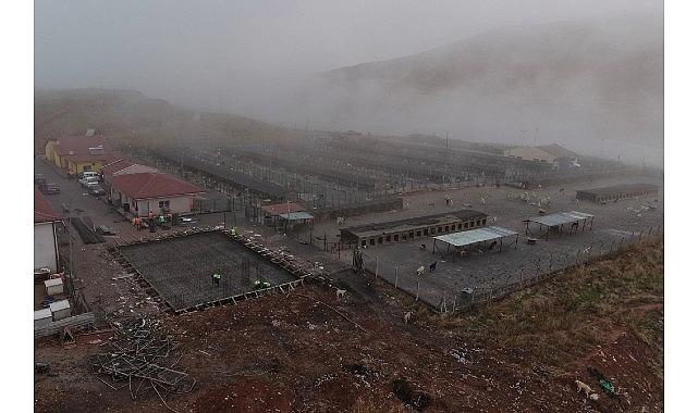 Sokak Hayvanları İçin Çağdaş, Sağlıklı ve Doğal Ömür Projesi Başladı