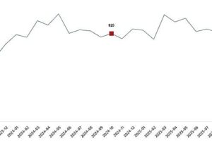 Süt ve Süt Eserleri Üretimi, Ekim 2025