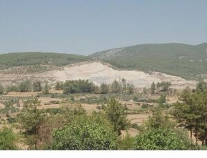 Tabiat İçin Sorumluluk Hepimizde: TEMA Vakfı 2025’in Etraf Olaylarını Kıymetlendirdi