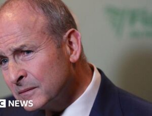 Taoiseach bites back at criticism of party’s Irish presidential review