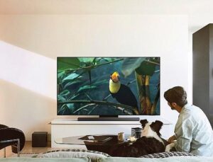 TechRadar 2025 yılında Samsung S95F OLED TV’yi ‘Yılın TV’si seçti