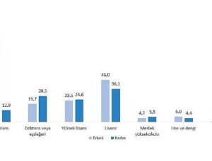 Teknogirişim Araştırması, 2024