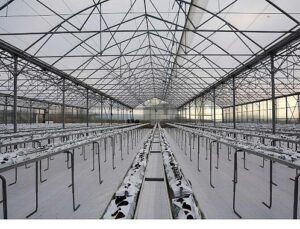 Termal Sera İle Verimli Üretim Başlıyor