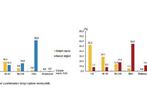 Teşebbüs Özelliklerine Nazaran Milletlerarası Hizmet Ticareti İstatistikleri, 2023