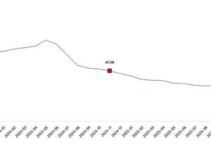 Tüketici Fiyat Endeksi, Kasım 2025