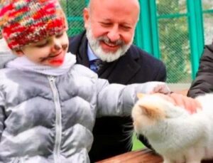 Türkiye’de İlk Olan Küçük Dostlar Ambulansı İle 10 Bin 280 Can Kurtarıldı