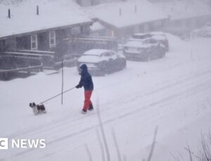 Two killed in Sweden as major storm sweeps across Nordic countries