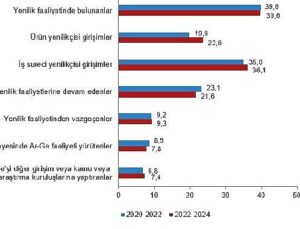 Yenilik Araştırması, 2024