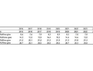 Yoksulluk ve Ömür Şartları İstatistikleri, 2025