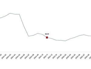 Yurt Dışı Üretici Fiyat Endeksi, Kasım 2025