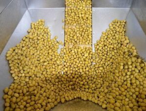 Zeytin ve zeytinyağı kesiminde güçler URGE Projesi’nde birleştirilecek