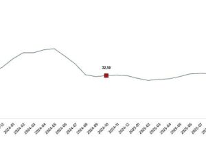 Ziraî Girdi Fiyat Endeksi, Ekim 2025