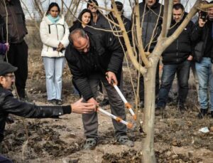 ABB’den Meyve Ağaçlarının Gelişimine Destek