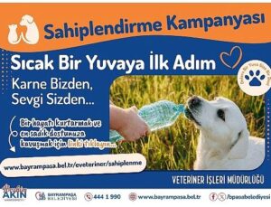 Bayrampaşa’da ‘can dostlar’ yuvalarını bekliyor