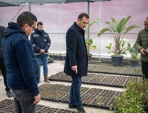 Bornova kendi yeşilini kendi üretiyor