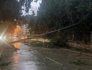 Buca Belediyesi gruplarının fırtına ve yağış mesaisi