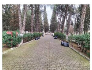 Büyükşehir Belediyesi Öncülüğünde Mezarlıklarda Ağır Çalışma