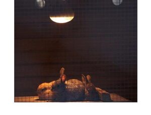 Büyükşehir Doğal Hayat Parkı’nda kış önlemleri