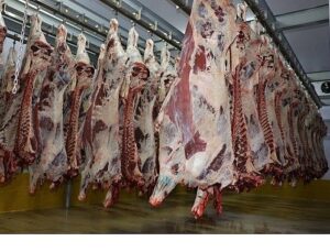 Büyükşehir Mezbahası’nda 6 bin 29 kesim yapıldı