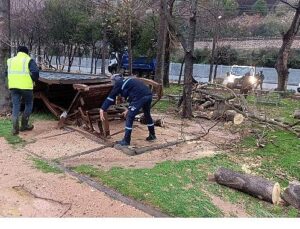 Büyükşehir, şiddetli lodosa karşı teyakkuzda