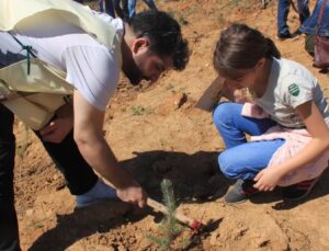 ÇEKÜL Vakfı, Bir Yılda 116 Bin Fidanı Toprakla Buluşturdu