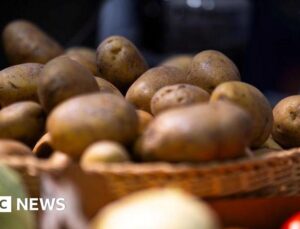 Chips, anyone? German farm gives away millions of potatoes after bumper harvest