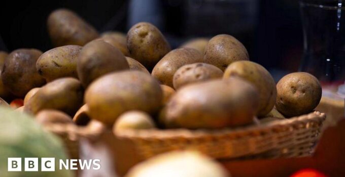 Chips, anyone? German farm gives away millions of potatoes after bumper harvest