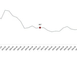 Ciro Endeksleri, Kasım 2025