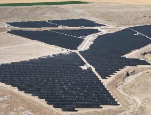 CW Enerji’den Doğaya Nefes Aldıran Bir Proje Daha