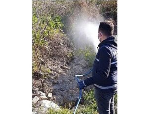 Didim’de Halk Sıhhati İçin Vektörlere Karşı Faal Gayret