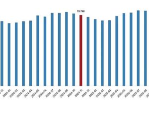 Fiyatlı Çalışan İstatistikleri, Kasım 2025