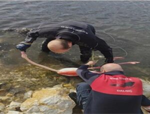 Flamingoya hayat veren kurtarma operasyonu