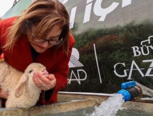 Gaziantep Büyükşehir ile Meralarda Hayvanlar Temiz Suya Kavuşuyor