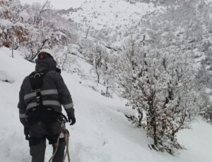 Güneydoğu Son 50 Yılın En Sert Kışında Enerjisiz Kalmadı