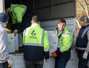 Güzelbahçe Belediyesi’nden çiftçiye güç veren takviye