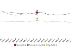 Hizmet, Perakende Ticaret ve İnşaat İnanç Endeksleri, Ocak 2026