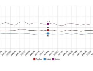 İşgücü İstatistikleri, Aralık 2025
