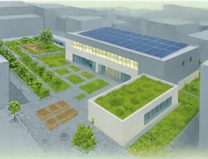 İzmir çatılarda yeşil ihtilali başlatıyor