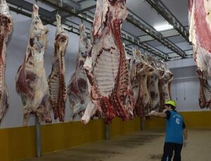 Kasapların tercihi Büyükşehir Mezbahası